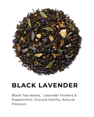 black lavender flower BLACK LAVENDER – Pitch Black North